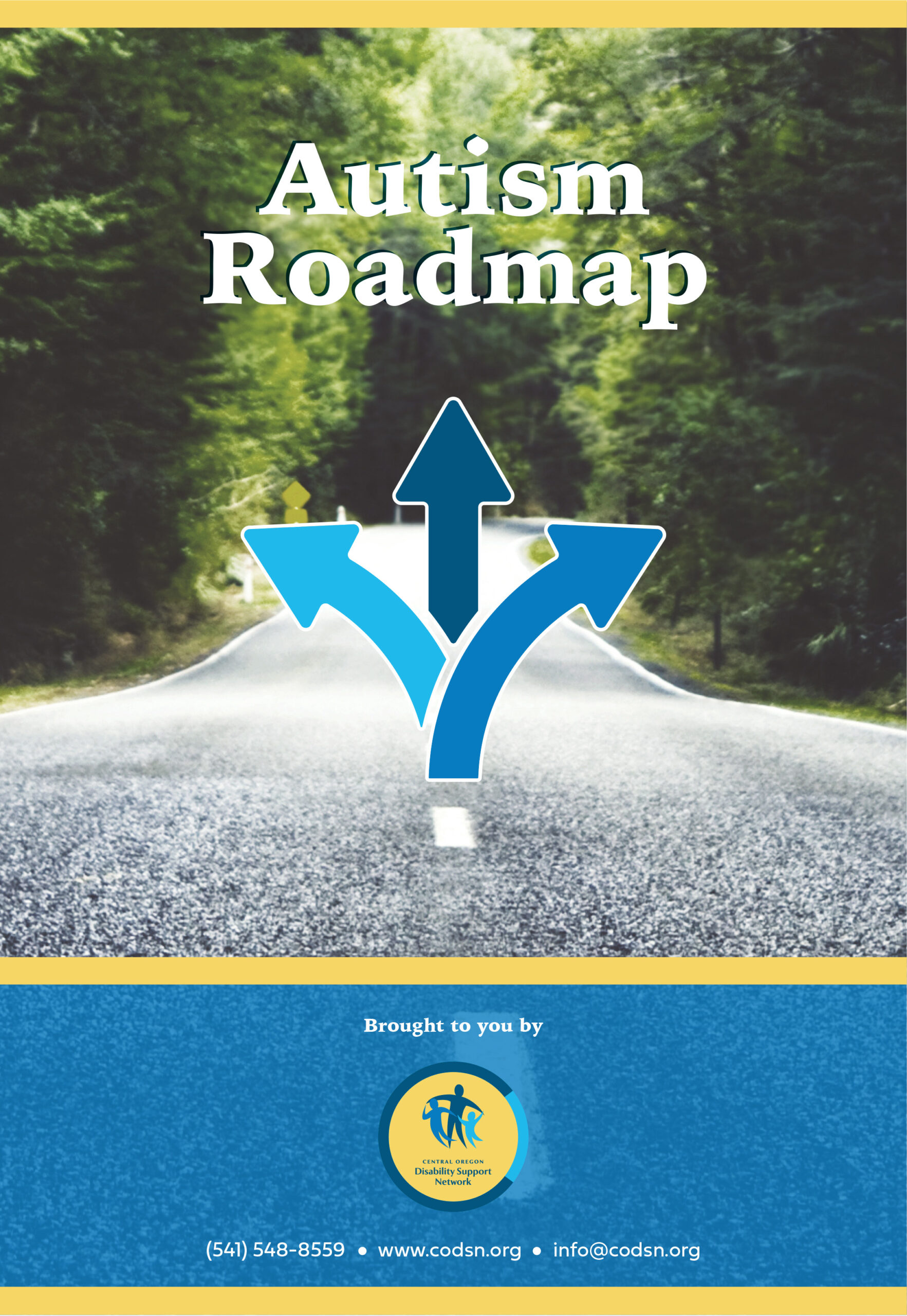 Autism Roadmap front cover page