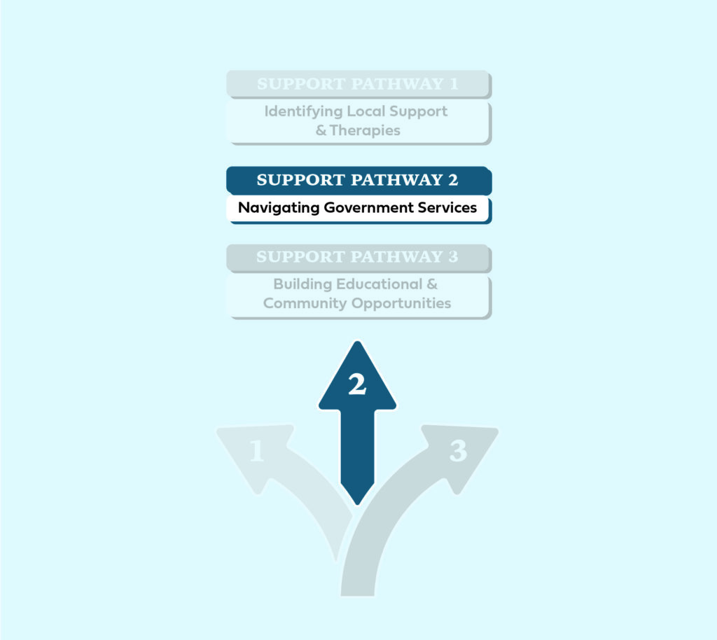Support Pathway 2: Navigating Government Services